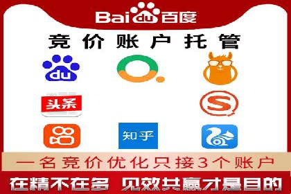 某行业SEM竞价策略的运营实践与效果